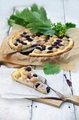 Grape and sour cream tart