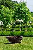 Gardens with pond shell, standard roses and trees