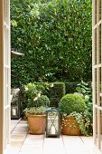 Blick durch offene Sprossentüren auf Terrasse mit Terracotta Blumentöpfen vor hoher Hecke