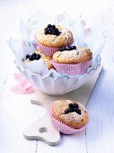 Several blueberry muffins