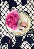 Prachtvolle Rosenblüte und angebissenes Macaron auf Porzellanteller & schwarzer Spitzendecke