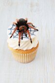 A cupcake decorated with a spider