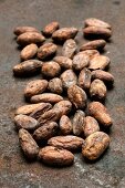 Viele Kakaobohnen der Sorte Criollo (Bio) auf verrostetem Untergrund
