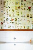 Weisses Waschbecken vor teilweise gefliester Wand, darüber Bildersammlung mit Blumen- und Tiermotiven