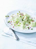 Cucumber salad with beetroot shoots and yoghurt & chilli dressing
