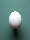 A white hen's egg