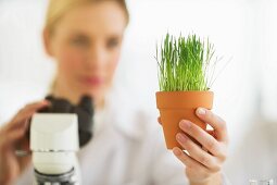 A scientist investigating plants in a lab