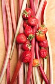 A still life featuring strawberries and stalks of rhubarb