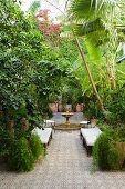 Lush vegetation in courtyard of Moroccan house with mosaic floor, ornamental fountain and benches