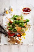 Baked Camembert on a mixed leaf salad