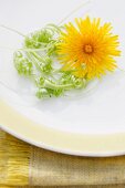 Curled dandelion stems and a flower on a plate on a placemat
