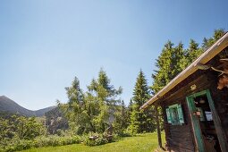 Alpine cabin with view of Alps