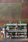 Plant shelves made from wooden pallet and metal chair against corten steel wall