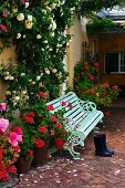 Antique bench amongst climbing roses and flowering geraniums in brick-paved courtyard at front of house