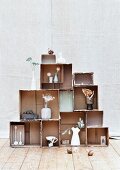Shelving system made from cardboard boxes holding various painted plants and leaves