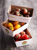 Various mini tomatoes in cardboard boxes