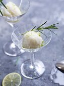 Lime sorbet with rosemary