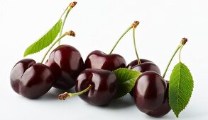 Morello cherries