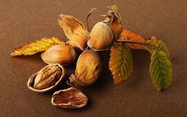 Hazelnuts