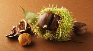 Sweet chestnuts