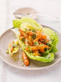 Lettuce with carrots, herbs and vinaigrette