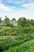 Farmhouse with large garden