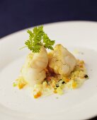 Monkfish on finely diced peppers and courgettes