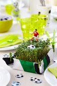 Cress as a table decoration and as a seasoning with football decorations