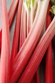 Fresh Rhubarb 