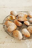 Vanilla madeleines on a wire rack