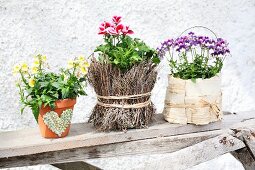 Arrangement of flowering plants in small planters decorated in various ways on wooden board