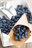 Blueberries in paper cones on a wooden crate