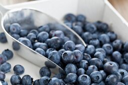 Blueberries in a wooden crate with a scoop