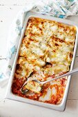 Cannelloni, topped with cheese sauce and baked