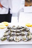 Fresh oysters with lemon and pepper, on ice