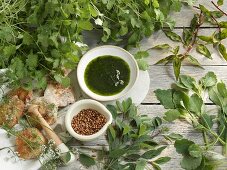 A coriander-themed still life