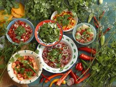 Various different salsas