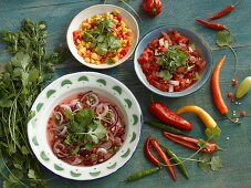 Salsa mit Tomaten, Mais und Zwiebel