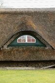 Thatched roof of residential house (detail)