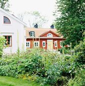 View across herbaceous border in garden to traditional Swedish house with red weather boarding