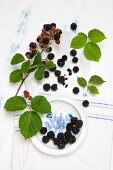 Lots of blackberries with stalks and leaves and on a plate, with an old linen cloth