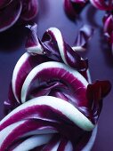 Red endive of the variety Trevisiano (close-up)
