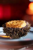 Sea urchin soufflé