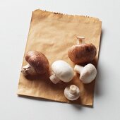 Champignons und Egerlinge auf brauner Papiertüte