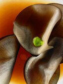 A still life featuring black Spanish radish and wasabi