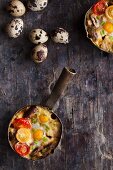 Potato bake with sausage, quail's egg, mushrooms and cherry tomatoes