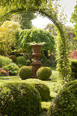 View through climber-covered archway into garden with antique-style urn planter on plinth and box balls