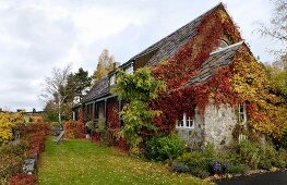 Idyllic country house in Norway covered in red and yellow autumn foliage