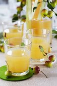 Glasses of apple juice on a table with round felt coasters decorated with ornamental apples
