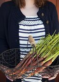 A woman holding a wire basket of fresh heritage carrots